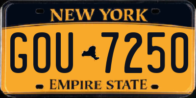 NY license plate GOU7250