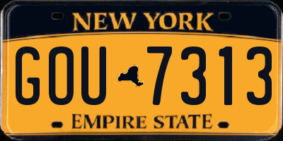NY license plate GOU7313