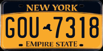 NY license plate GOU7318