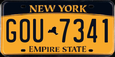 NY license plate GOU7341