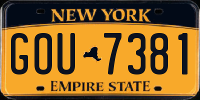NY license plate GOU7381