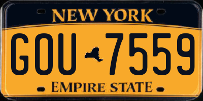 NY license plate GOU7559