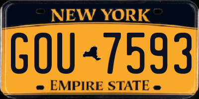 NY license plate GOU7593