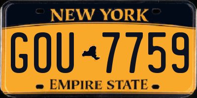 NY license plate GOU7759