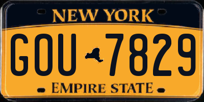 NY license plate GOU7829