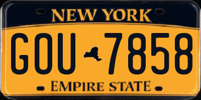 NY license plate GOU7858