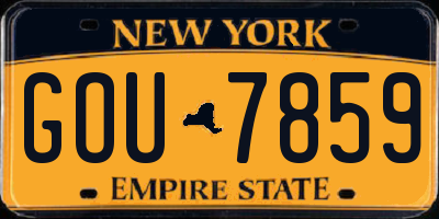 NY license plate GOU7859
