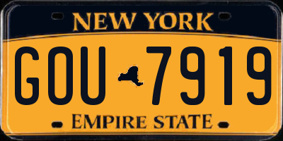 NY license plate GOU7919