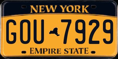 NY license plate GOU7929