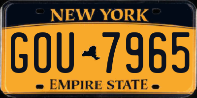 NY license plate GOU7965