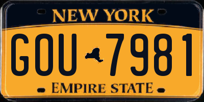 NY license plate GOU7981