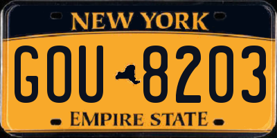 NY license plate GOU8203