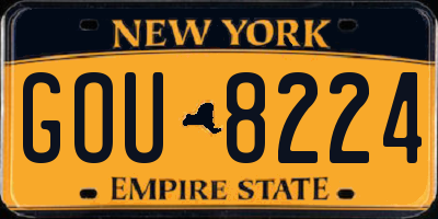 NY license plate GOU8224