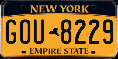 NY license plate GOU8229