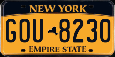 NY license plate GOU8230