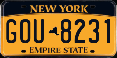 NY license plate GOU8231