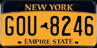 NY license plate GOU8246