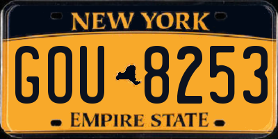 NY license plate GOU8253