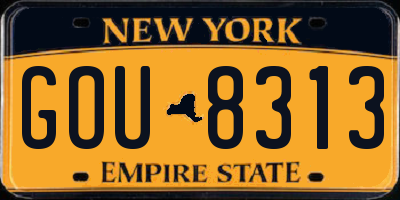 NY license plate GOU8313