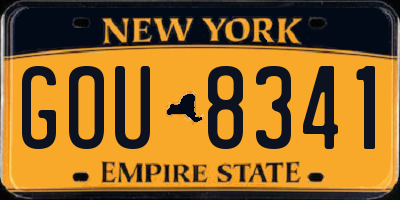 NY license plate GOU8341