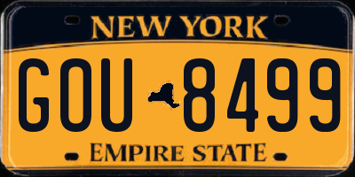 NY license plate GOU8499
