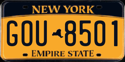 NY license plate GOU8501