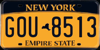 NY license plate GOU8513