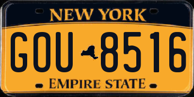 NY license plate GOU8516