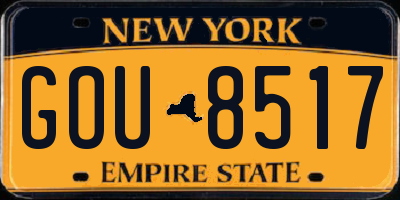 NY license plate GOU8517