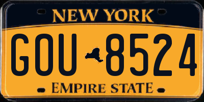 NY license plate GOU8524