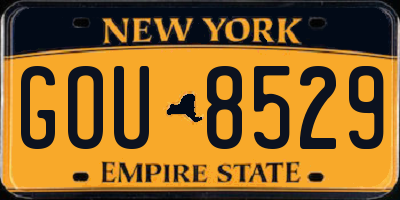 NY license plate GOU8529