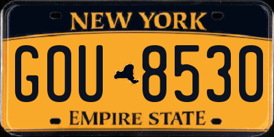 NY license plate GOU8530
