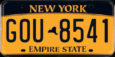 NY license plate GOU8541
