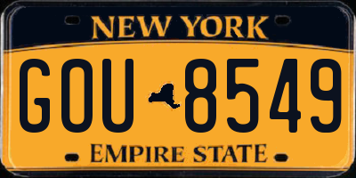 NY license plate GOU8549