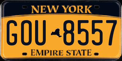 NY license plate GOU8557