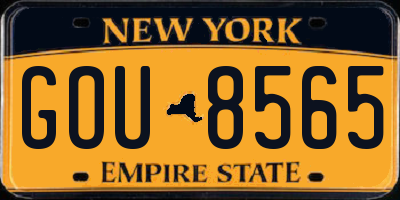 NY license plate GOU8565