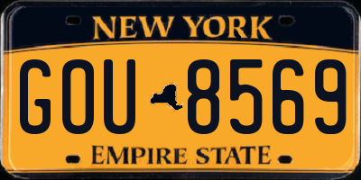 NY license plate GOU8569