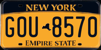 NY license plate GOU8570