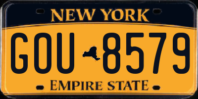 NY license plate GOU8579