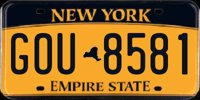 NY license plate GOU8581