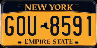 NY license plate GOU8591