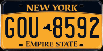 NY license plate GOU8592