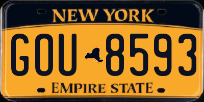 NY license plate GOU8593