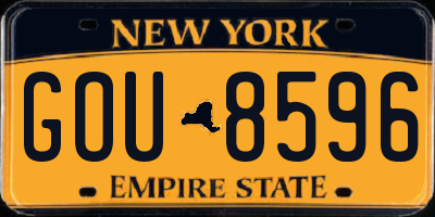 NY license plate GOU8596