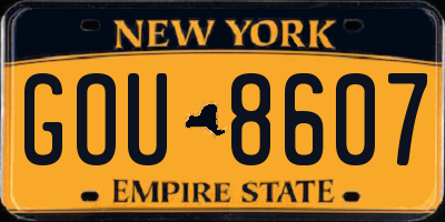 NY license plate GOU8607