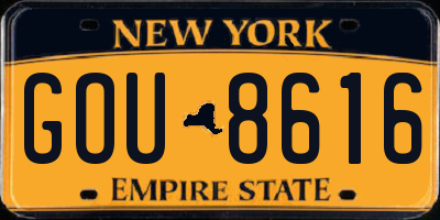 NY license plate GOU8616