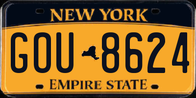 NY license plate GOU8624