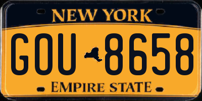 NY license plate GOU8658
