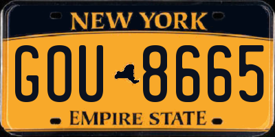 NY license plate GOU8665