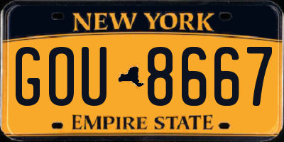NY license plate GOU8667